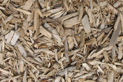 biomass boilers Manorbier